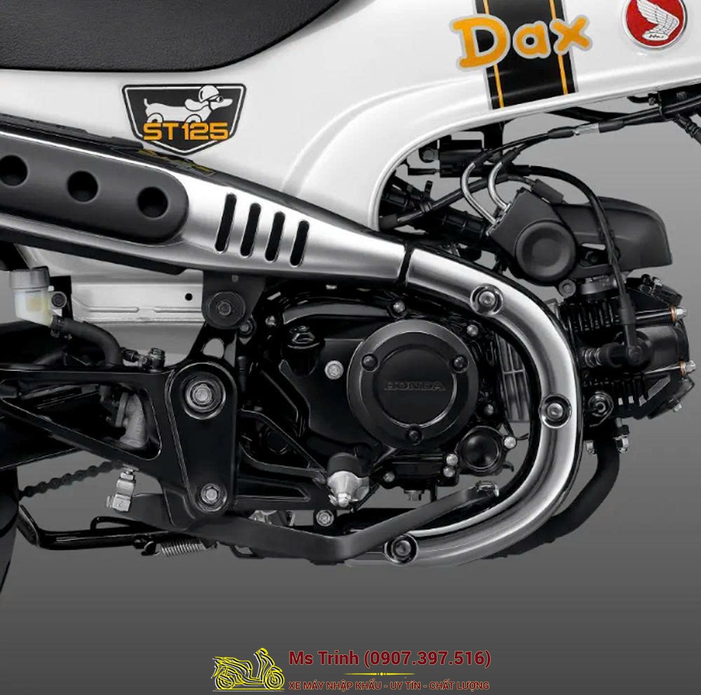 Honda Dax ST125 2026 tại Lâm Đồng - Minibike huyền thoại khung T-Bone đầy cá tính