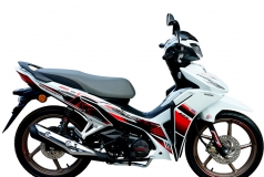 Honda Dash 125 2026 HRC 2026 tại Lâm Đồng - Xe số thể thao mạnh, mượt, giá hợp lý