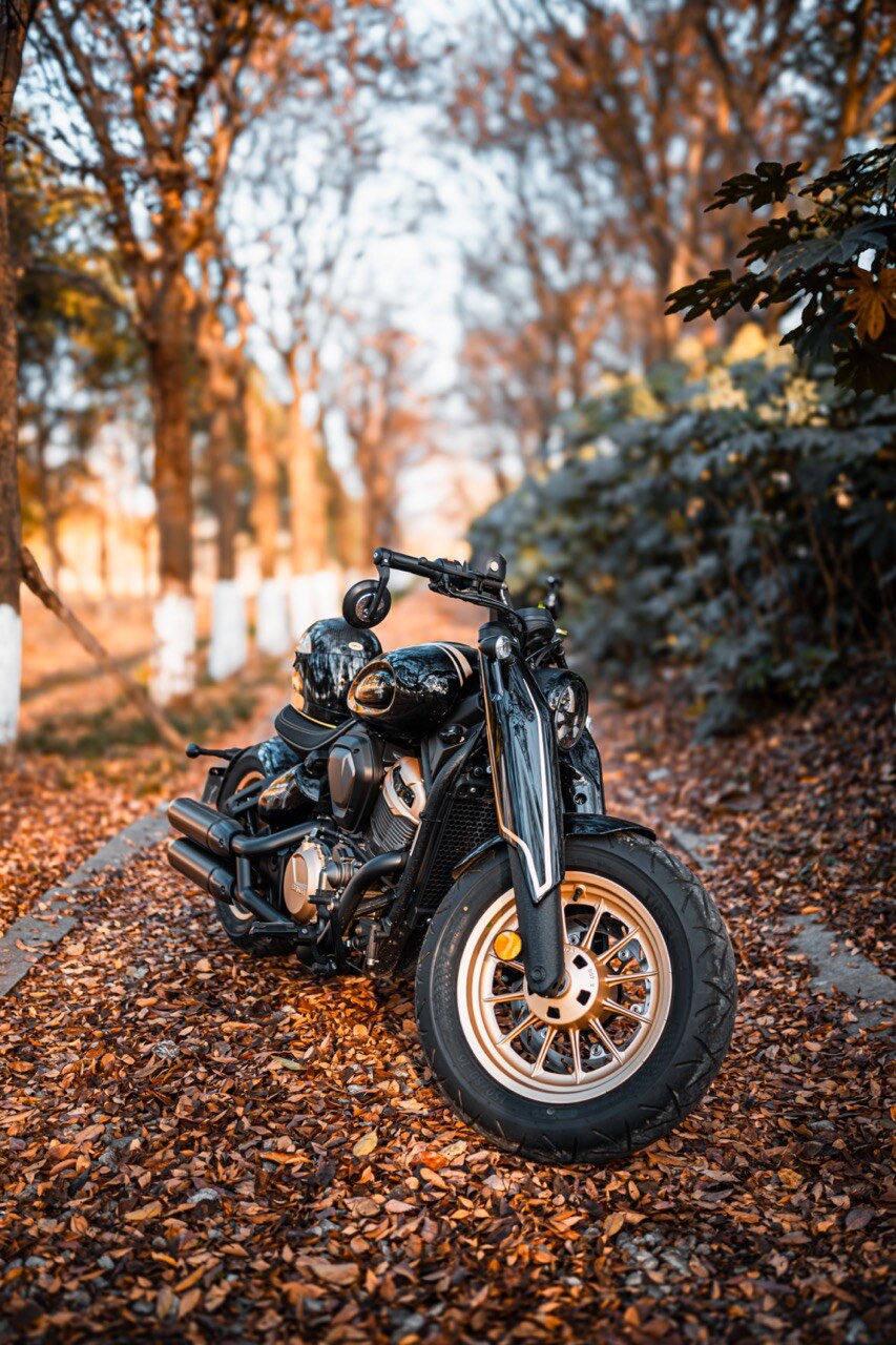Benda Napoleon 500 Bobber, Phân Phối Chính Hãng, Giá Rẻ Tại Lâm Đồng