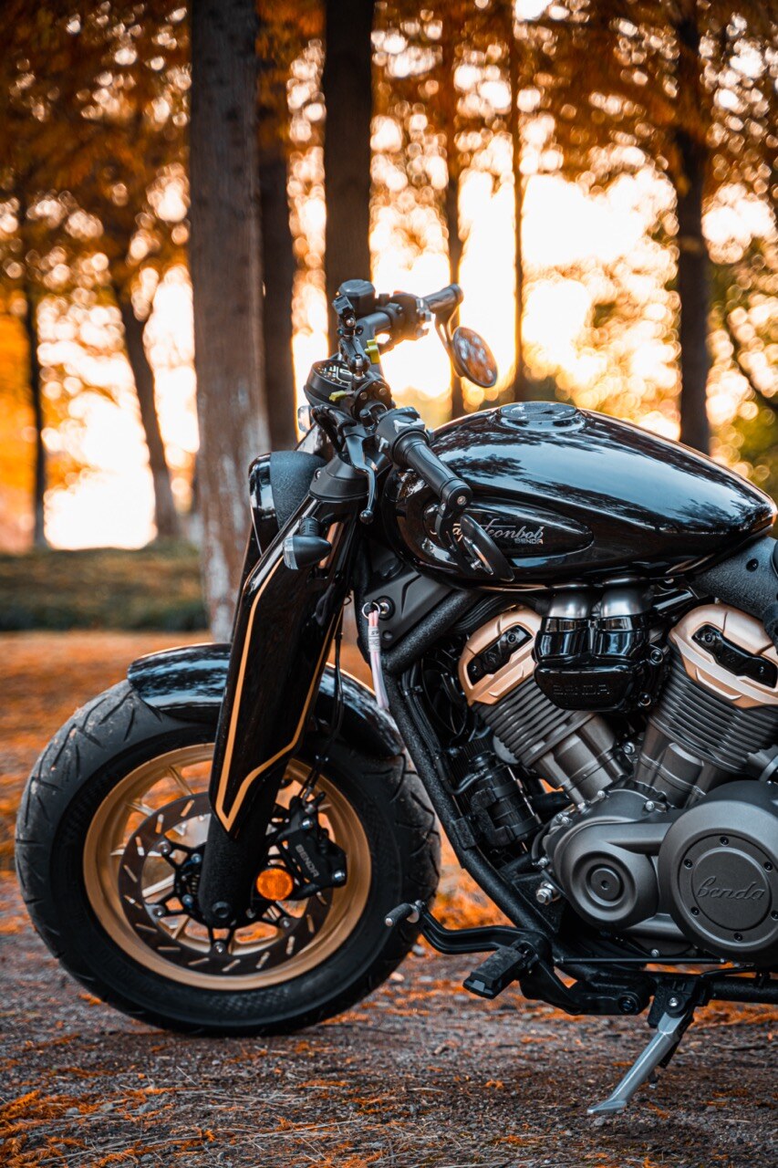 Benda Napoleon 500 Bobber, Phân Phối Chính Hãng, Giá Rẻ Tại Lâm Đồng
